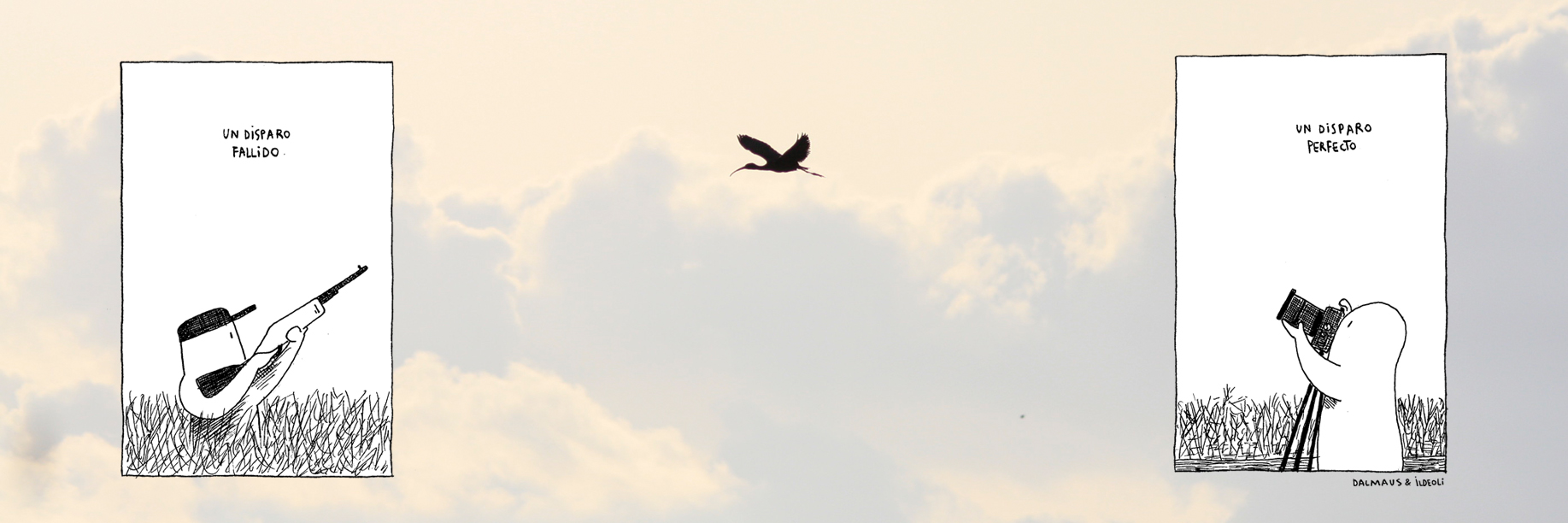 disparo-fallido-perfecto-dalmaus disparo-fallido-perfecto-dalmaus
